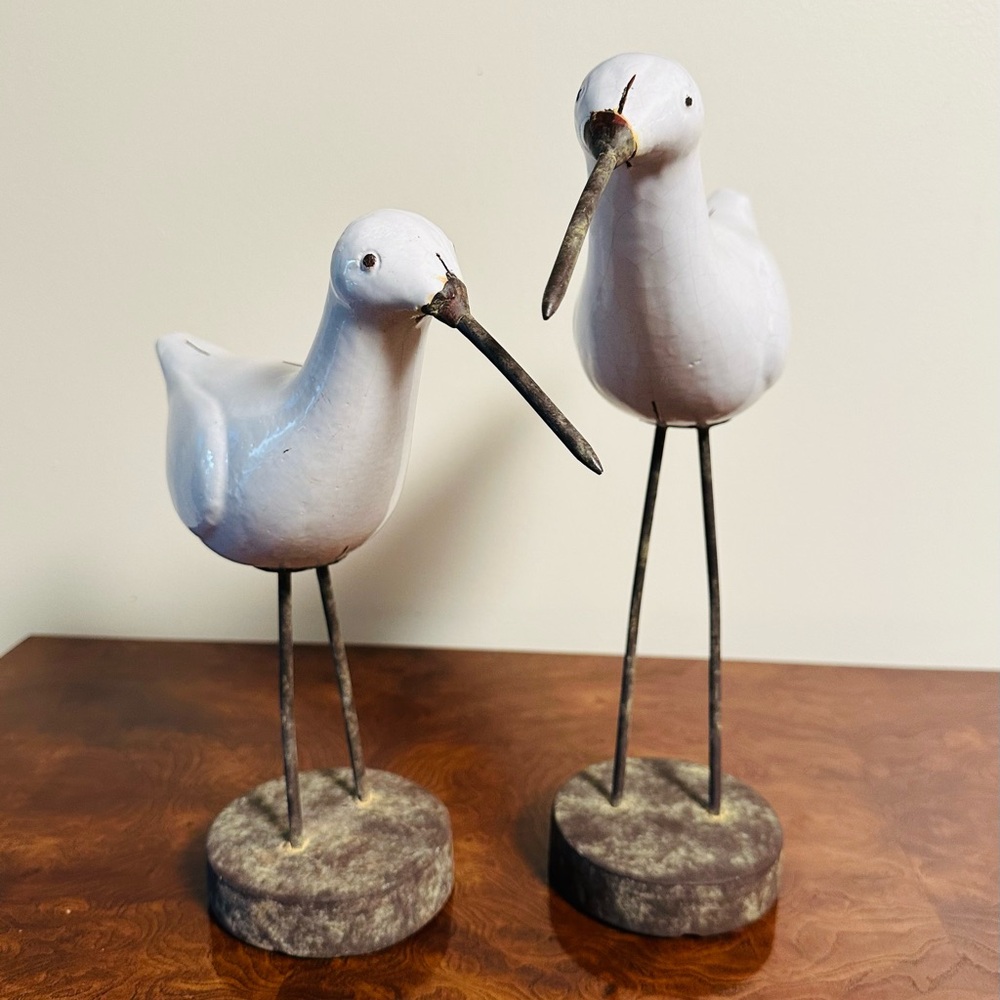 Large Seagulls Shorebirds.